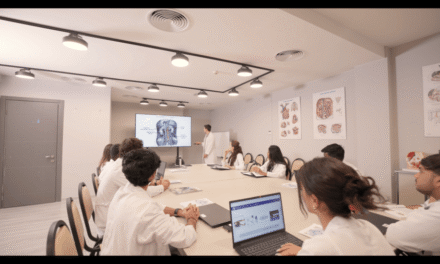 BACHELOR’S PROGRAMS OFFERED AT GRIGOL ROBAKIDZE UNIVERSITY