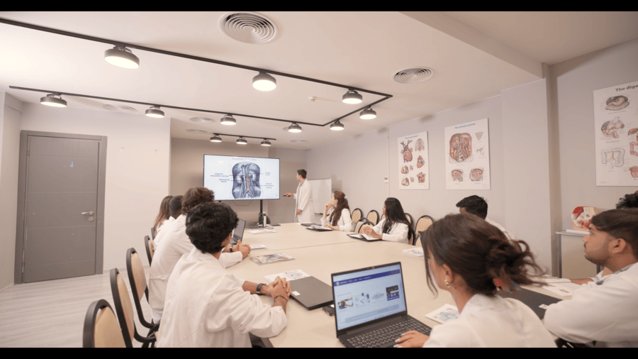 BACHELOR’S PROGRAMS OFFERED AT GRIGOL ROBAKIDZE UNIVERSITY