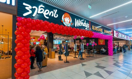 Working Hours for Georgian Students